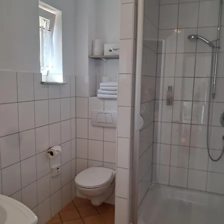 Hotel Hirsch 3*