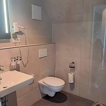 Hirsch 3* سينشيم